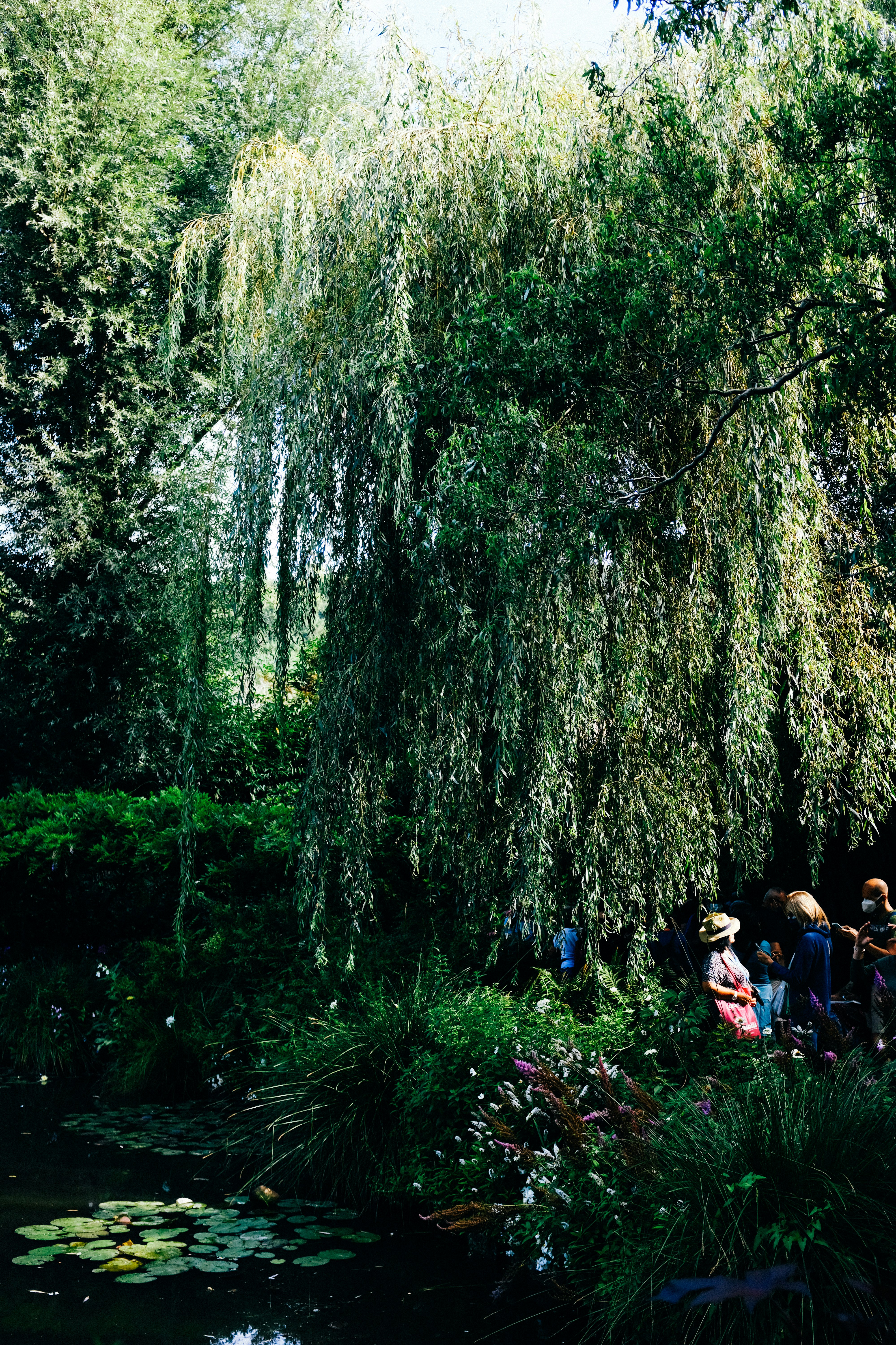 people sitting on grass field surrounded by trees during daytime